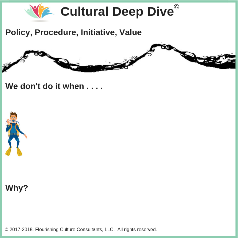 Taking a Deep Dive Into Your Culture – Joyce Schroeder MS